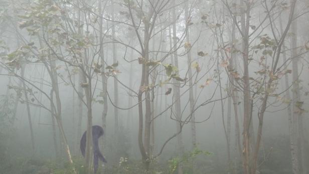 7 Best Pieces of Evidence Recovered By the Expedition Bigfoot Team